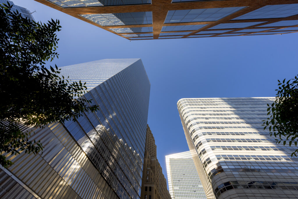 Why Institutional Investors Prefer Private Capital